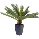 Διακοσμητικό Φυτό Cycas Tree 78 εκ.