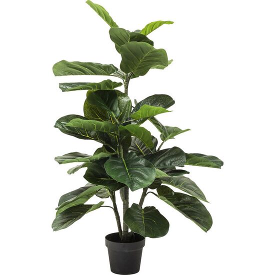 Διακοσμητικό Φυτό Fiddle Leaf 120 εκ.